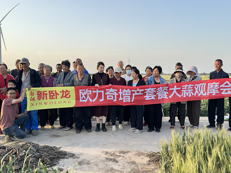 欧力奇大蒜方案田间观摩会实证