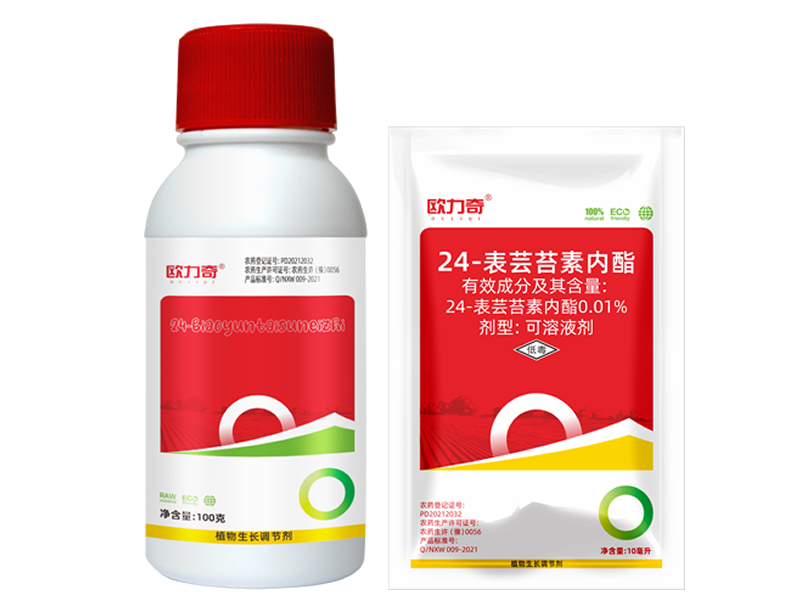 欧力奇